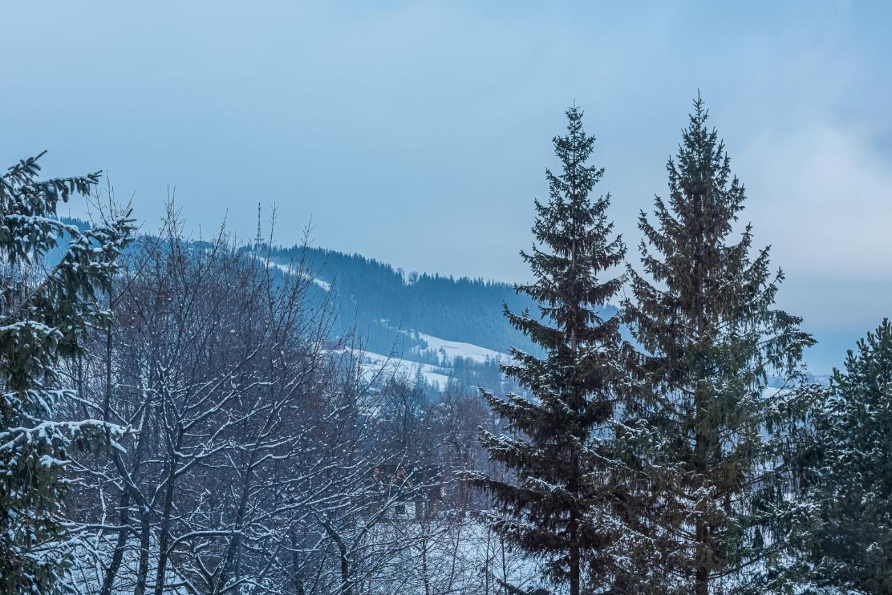 Zakopianskie Widoki Zakopane Ngoại thất bức ảnh